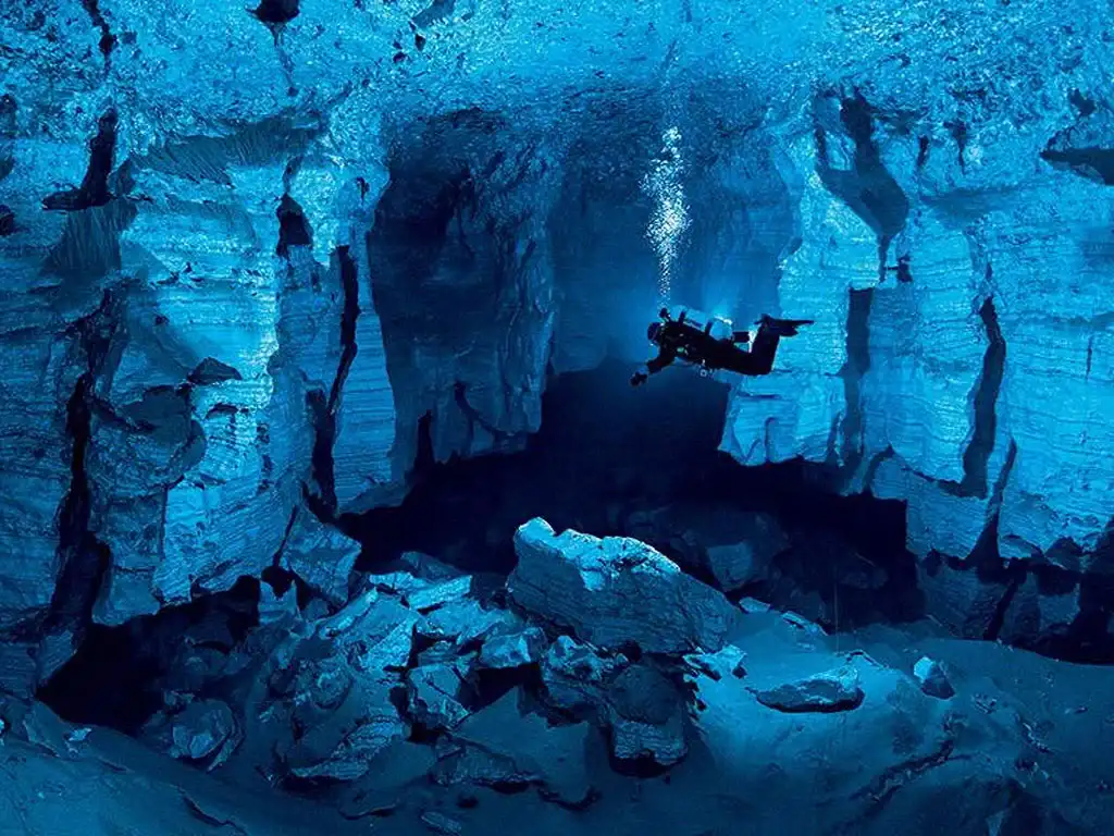 freediving and spearfishing
